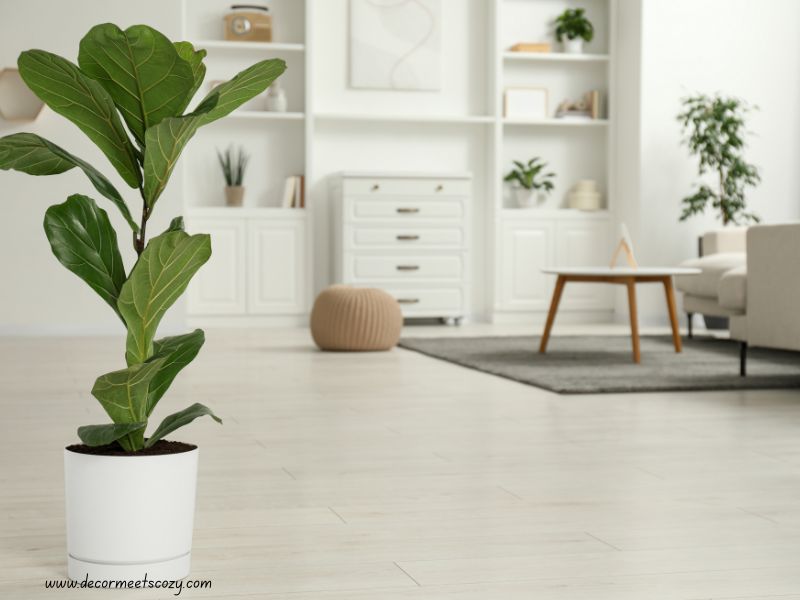 Natural-Materials-Into-Your-Decor-Scheme