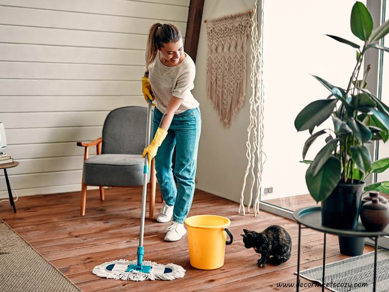 How-to-Keep-a-Clean-House