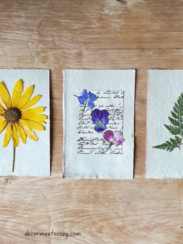 Pressed-Flower-Wall-Art